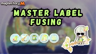 maplestory M  Master Star Messenger Set Fusing [upl. by Nessej652]