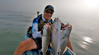 Entre Brumas y Capturas Aventura de Pesca en un Mar de Plata [upl. by Peters567]