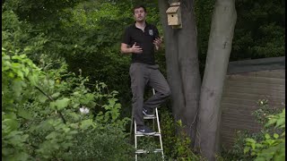 How to put up a nest box [upl. by Inalawi27]