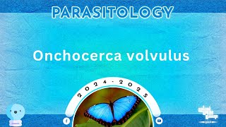 L2 Part2  Lymphatic filariasis Onchocerca volvulus  Parasitology [upl. by Levitan]