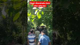 Bagh tiger ytshorts tiger wildlife [upl. by Melloney]