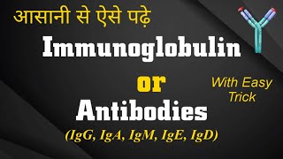 Immunoglobulin in hindi  Structure amp Function  IgG IgA IgM IgE IgD  5types of antibodies lokesh [upl. by Hilton330]