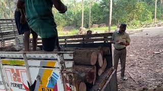 AMAZING WOOD UNLOADING SAW MILL🔥 WOOD PEELING SIZE TREE UNLOADING 👌 [upl. by Nappy]