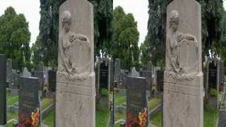 Der Ottakringer Friedhof in 3D [upl. by Osborn]