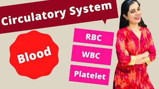 The Circulatory System  Blood Class 8 ICSE Biology  Blood  RBC WBC Platelets Plasma [upl. by Ileray]