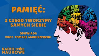 Deja vu fałszywe wspomnienia i pytania o tożsamość Tajniki pamięci  prof Tomasz Maruszewski [upl. by Netneuq]