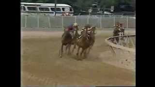 Affirmed vs Alydar  1978 Preakness Stakes [upl. by Vladi967]