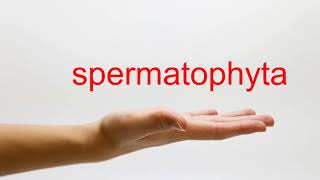 How to Pronounce spermatophyta  American English [upl. by Cathee869]