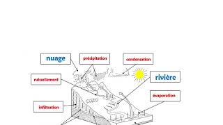 SCIENCES Le trajet de leau dans la nature [upl. by Enelyw]