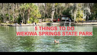 5 Things to Do at Wekiwa Springs State Park Florida  2 NOMADIK boxes unboxed [upl. by Sankaran924]