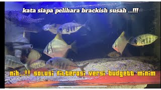 Filterarsi buat pemula versi budget SD‼️‼️ [upl. by Etireugram]