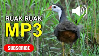 Suara Ruak Ruak Mp3 [upl. by Ahsener]