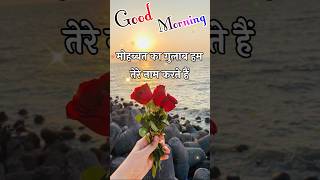 good morning rose day status 🌹 good morning status 🌹 rose day good morning love status shortvideo [upl. by Ellivnarg]