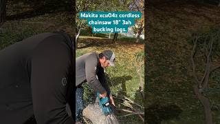 Makita cordless chainsaw xcu04z 18v times 2 for 36v power bucking up an 18” green willow log [upl. by Solana]