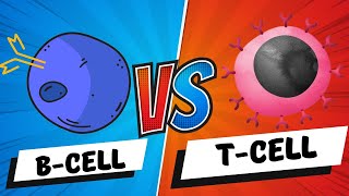 B Cells vs T Cells  B Lymphocytes vs T Lymphocytes  Adaptive Immunity  Mechanism [upl. by Nosyd]