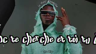 Le Petit Mandelha  BWÉDI  Lyrics vidéo Prod by marlichbeats44 [upl. by Stearns]