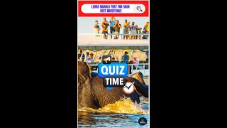 Swahili Quiz Challenge Essential Travel Vocabulary [upl. by Nossah]