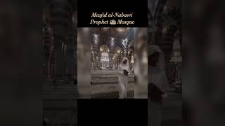 Come with me to give Salaams to the Prophet Muhammed ﷺ [upl. by Ahsoem362]