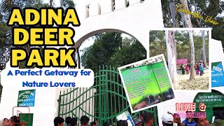 Adina Deer Park in Malda II আদিনা ফরেস্ট মালদা ভ্রমন [upl. by Borden]