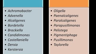 Dominio Bacteria Phylum Proteobacteria 13  Clase Betaproteobacteria  Familia Alcaligenaceae [upl. by Wells295]