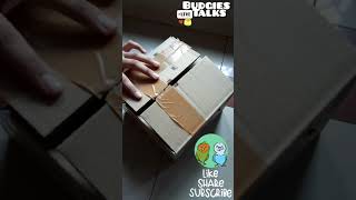 Unboxing🥰 Baby Parakeets 🤩🤗Cute Budgies [upl. by Harrat694]