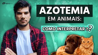 Como identificar e interpretar a azotemia nos animais [upl. by Alon]