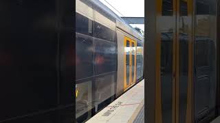 NSW TrainLink Oscar departing Chatswood railway sydneytrains train nswtrainlink shorts [upl. by Clea891]