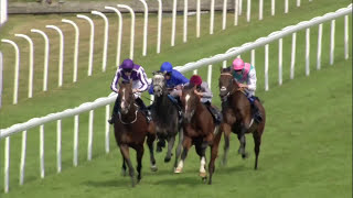 KINGMAN is all class in the 2014 QIPCO Sussex Stakes at Glorious Goodwood  Racing TV [upl. by Lertnom983]