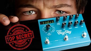 Strymon Bigsky’s Biggest Secret [upl. by Geiss]