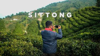 Sittong  BEST HOMESTAY 😍  sittong ahaldara offbeatnorthbengal offbeatdarjeeling [upl. by Tormoria]