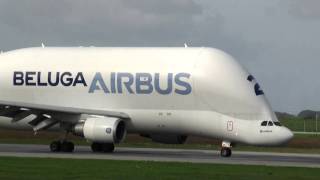 Airbus Beluga Landung in Hamburg Finkenwerder [upl. by Rizzi103]