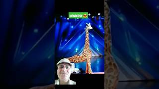 Giraffe 🦒 Magic😱😨AGTamericagottalentmagic [upl. by Carmita]