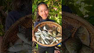 Grilled fish is very delicious real farmed fish cooking khmerfood shortvideo food fishing [upl. by Norman]