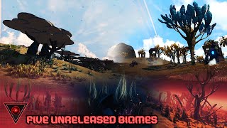 A Detailed Look At All The Unreleased Biomes  No Mans Sky [upl. by Moody]