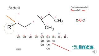 RADICALES ESPECIALES CLASE QUÍMICA 11° Isopropil isobutil secbutil y terbutil [upl. by Rubbico]