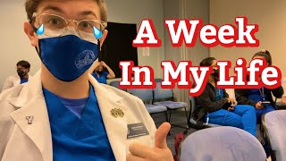 The Hardest Week of Optometry School  First Year Student [upl. by Annairt]