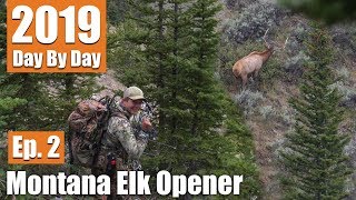 This Bull Ignored My Calls  2019 Montana Archery Elk Opener Ep 2 [upl. by Merilee]