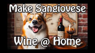 Recipe Make Sangiovese Wine [upl. by Noll]