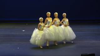 Four Little Swans Cygnets  San Jose Dance Theatre [upl. by Weiser]