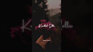 Anbae Enthan Kaadhal Solla 💫🩵song lyrics in Tamil WhatsApp status shorts trending lovestatus [upl. by Aiyt]