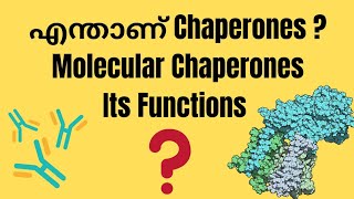 CHAPERONES  WHAT IS CHAPERONE AND WHAT IS ITS FUNCTIONS   SIMPLIFIED LECTURE  LIFESCIENCE [upl. by Aiuqet]