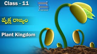 వృక్ష రాజ్యం  Plant Kingdom Characteristics and Classification  Biology Class11  StudiousTelugu [upl. by Jahdai]