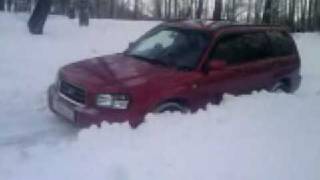 forester in snow [upl. by Maurita]