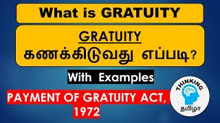 Gratuity explained in Tamil  how to calculate Gratuity [upl. by Memberg72]