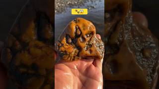 Claw stone found 🐾😱viralshort gemston gemstone viralvideo shorts [upl. by Darill]