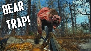 Fallout 4  Bear Traps amp Caltrops  Far Harbor Traps Showcase [upl. by Straub]