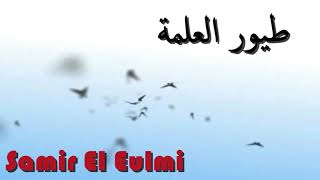 Samir El Eulmi  Tyour El 3elma  طيور العلمة [upl. by Esekram]