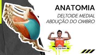 Anatomia do Deltoide Medial  Abdução do Ombro [upl. by Dorrahs260]