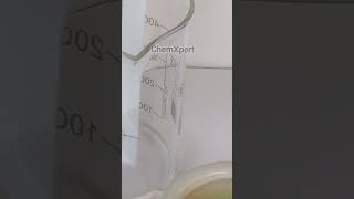 Chromatography of Spinach  Separation of Chlorophyll and Xanthophyll  Class 11 Biology science [upl. by Filemon]