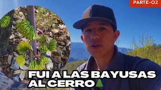 Fui a las BAYUSAS después de mirar la SIEMBRA🌲✌🏽VIDA EN LA SIERRA [upl. by Oiratno]